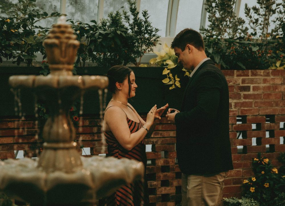 a romantic proposal at phipps conservatory pittsburgh photography indiana pa photographer, couple, engagement moody rainy tropical
