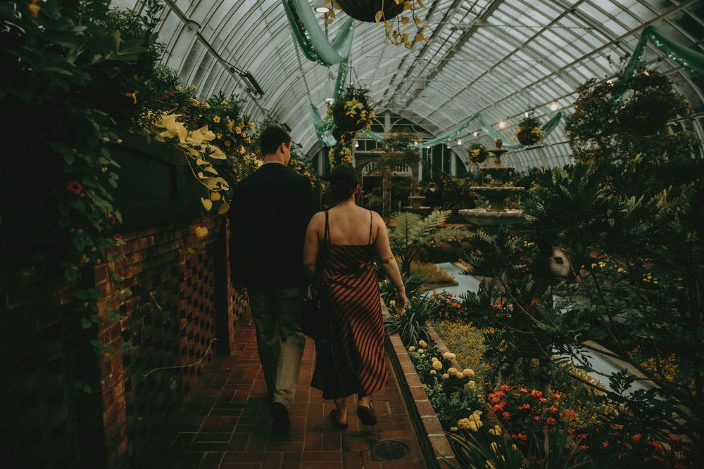 a romantic proposal at phipps conservatory pittsburgh photography indiana pa photographer, couple, engagement moody rainy tropical