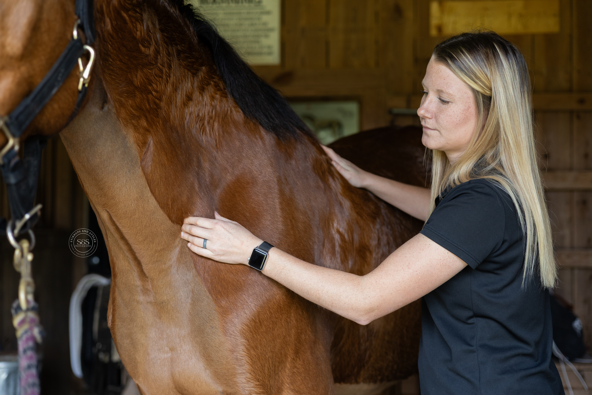 Person gently grooming brown horse in stable setting.