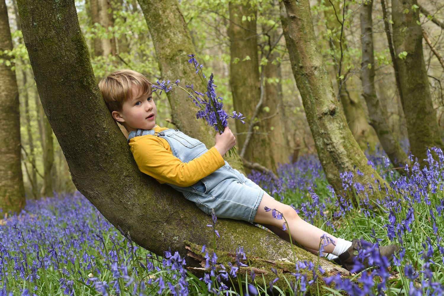 Bluebell Family Photoshoot by Abigail's Studio