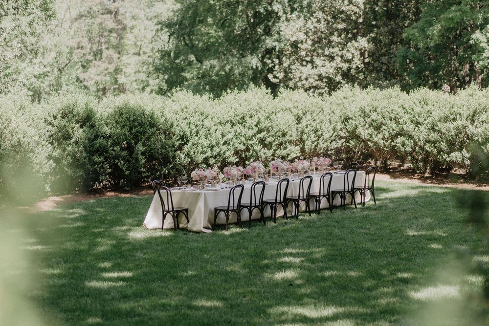 A long dining table set for an intimate outdoor wedding reception under natural greenery.