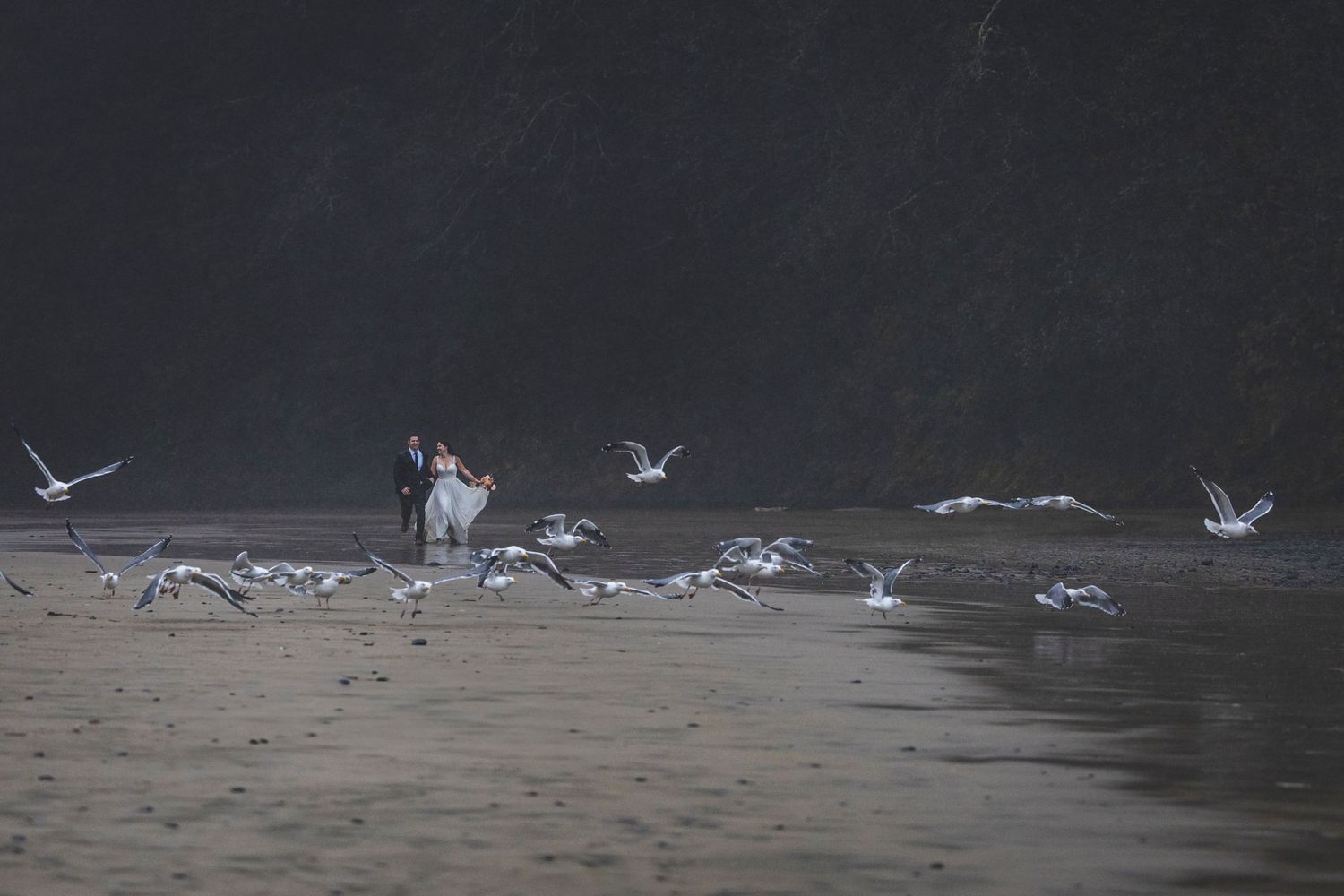 A figure stands on foggy beach at dusk while seagulls take flight around them in ethereal atmosphere.