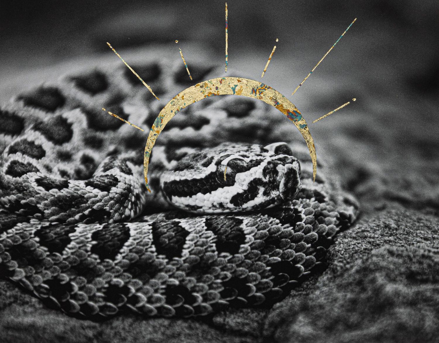 Close-up of a textured surface with a golden arc decorated with spikes in black and white.