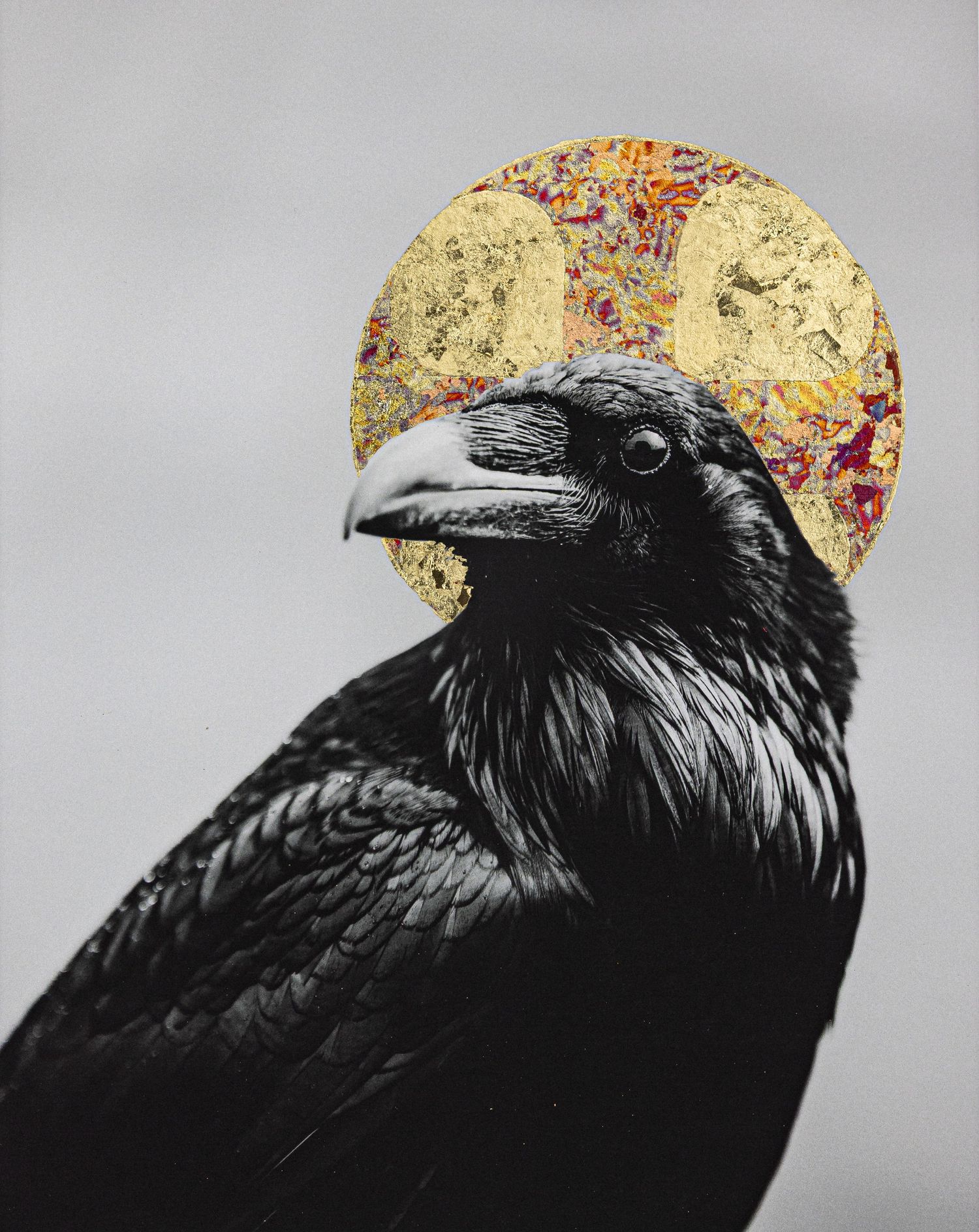 Black raven portrait with golden circular background in artistic style.