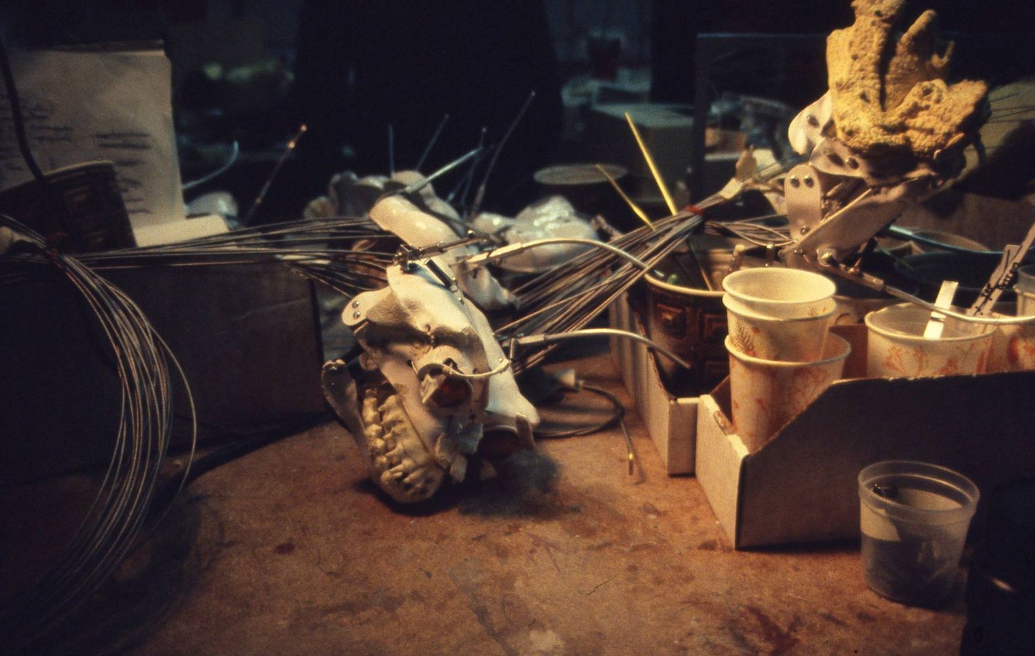 Inside Vacuform Gremlin skull