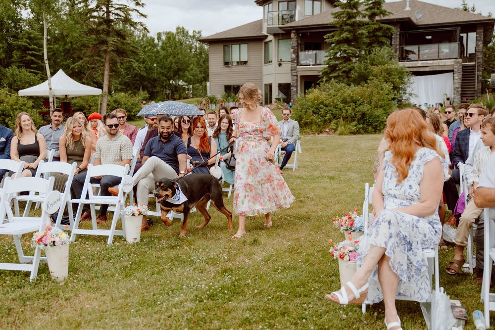 Alberta wedding photographer
