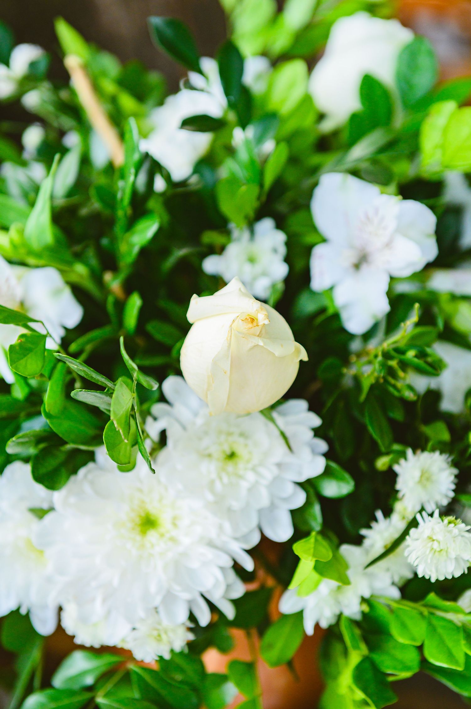 Delicate white roses and chrysanthemums create an elegant floral arrangement with vibrant green foliage.