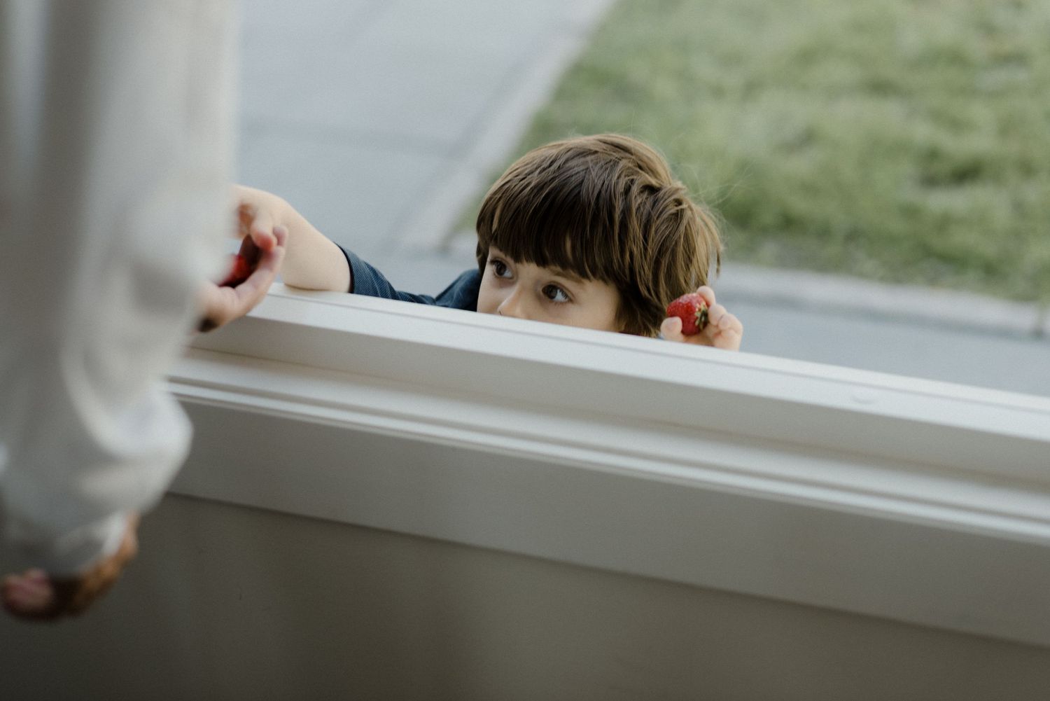 A dog peering through a glass door window, looking outside with an expectant expression on its face.