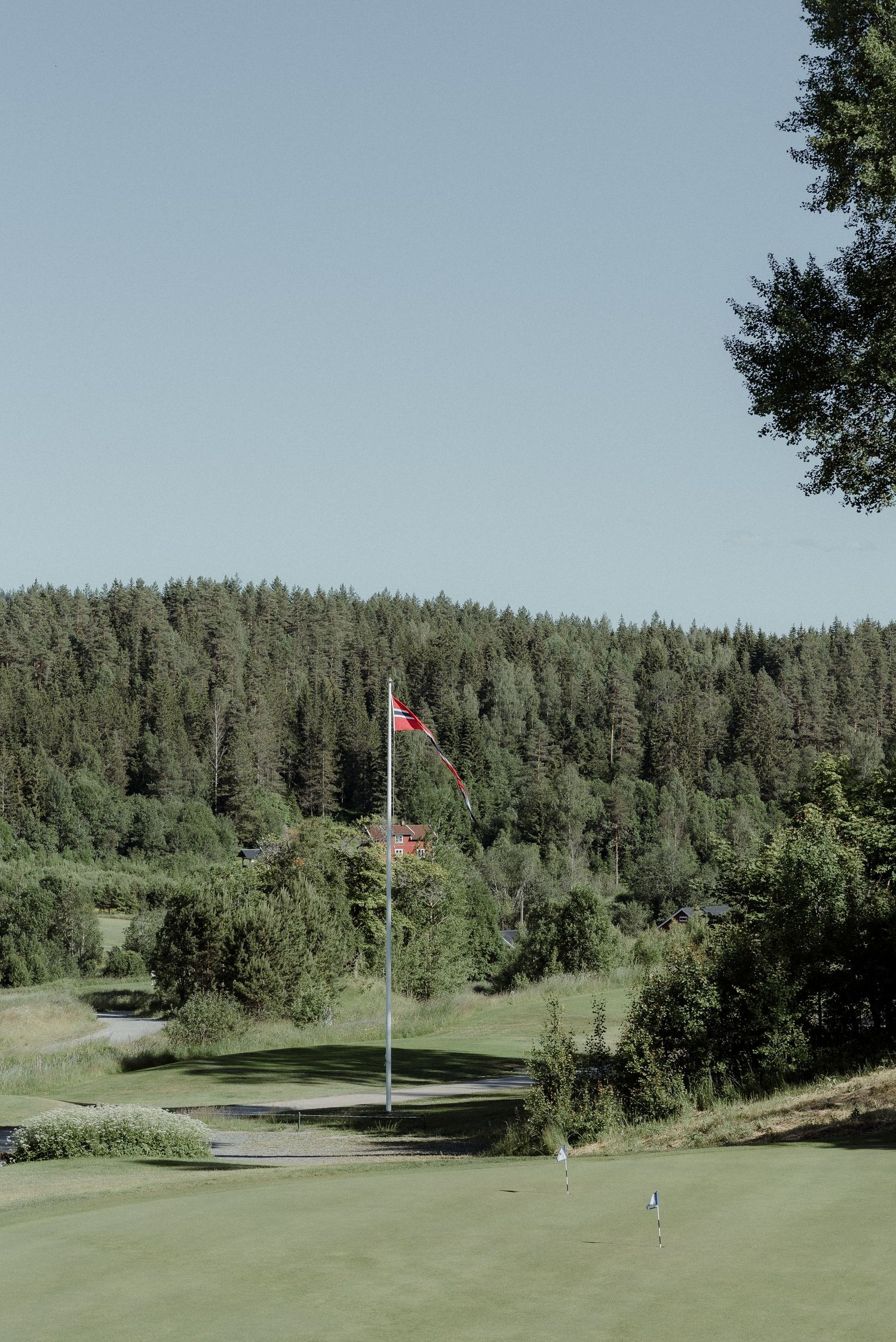 A golf course fairway surrounded by evergreen forest with an American flag waving on the green.