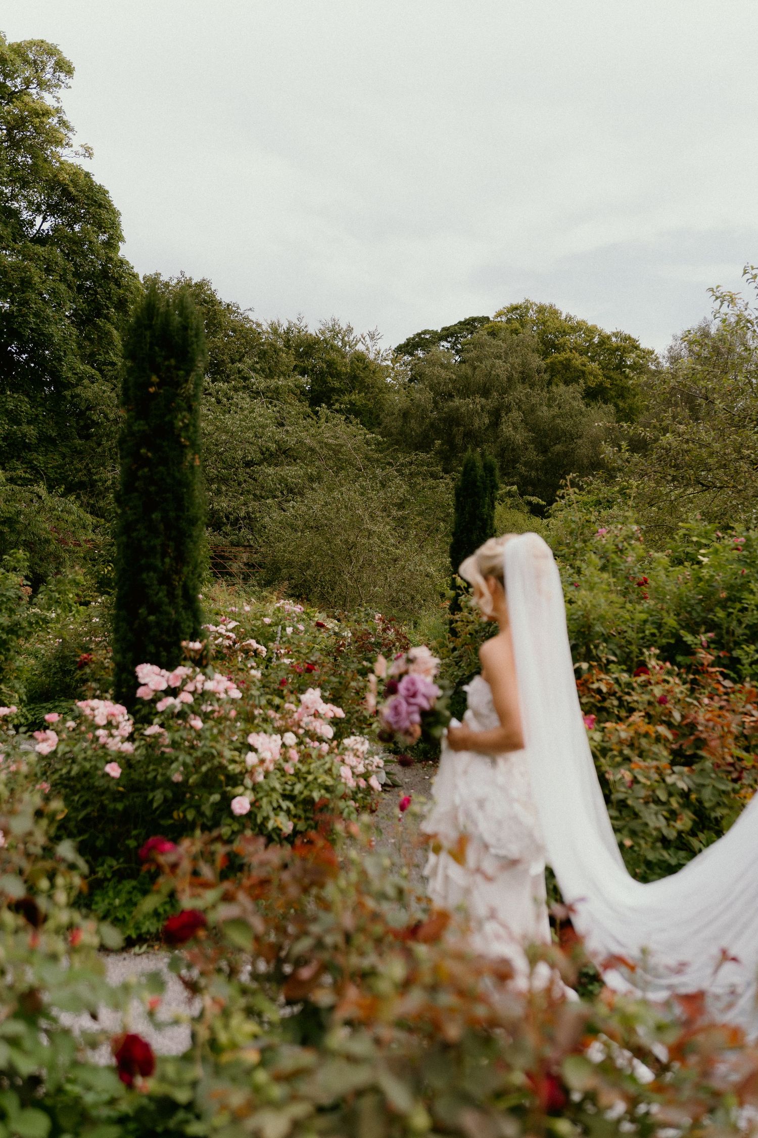 A long flowing white wedding gown and veil stands elegantly amidst a lush garden filled with blooming pink roses and greenery.