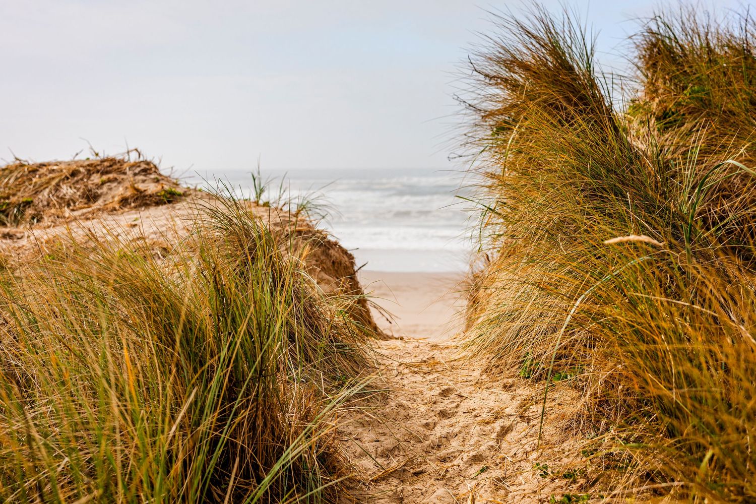 Sandy path through beach grass and dunes leads to a misty ocean shore on a cloudy day.
