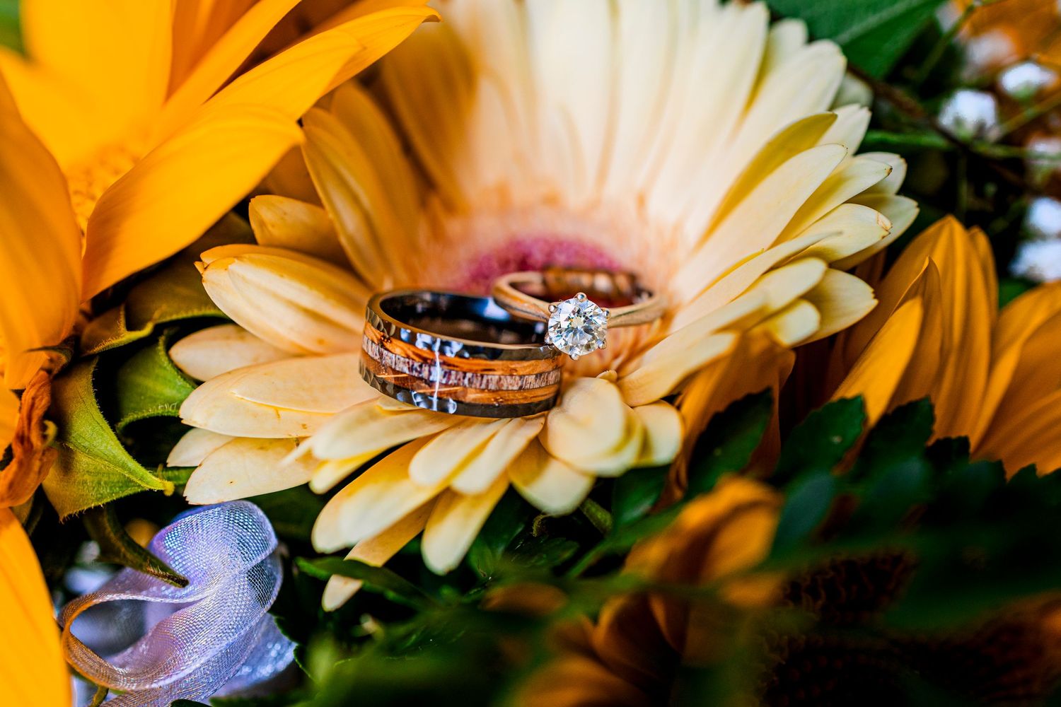 Wedding rings nestled on a peach-colored gerbera daisy flower with vibrant orange petals in the background.