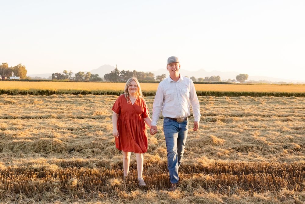 A couple walks hand in hand through a golden field at sunset with warm light illuminating the rural landscape.
