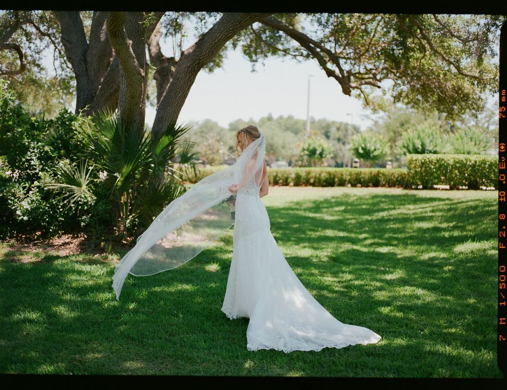 A flowing white wedding dress and veil catch the breeze in a sunlit garden setting beneath a large tree.