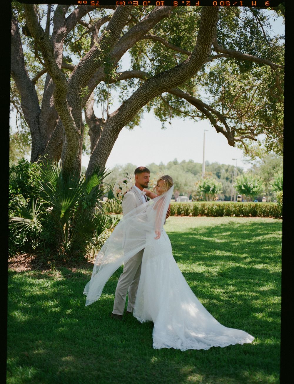 Newlywed couple sharing a romantic dance under a majestic tree on a sunny lawn.