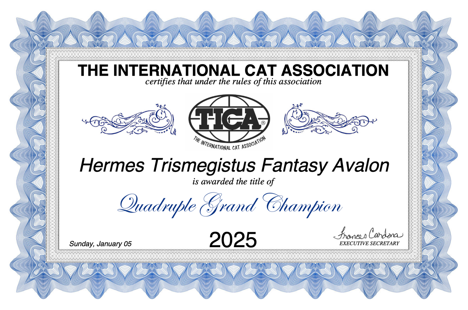A blue-bordered certificate from The International Cat Association (TICA) showing a 2025 Quadruple Grand Champion award.