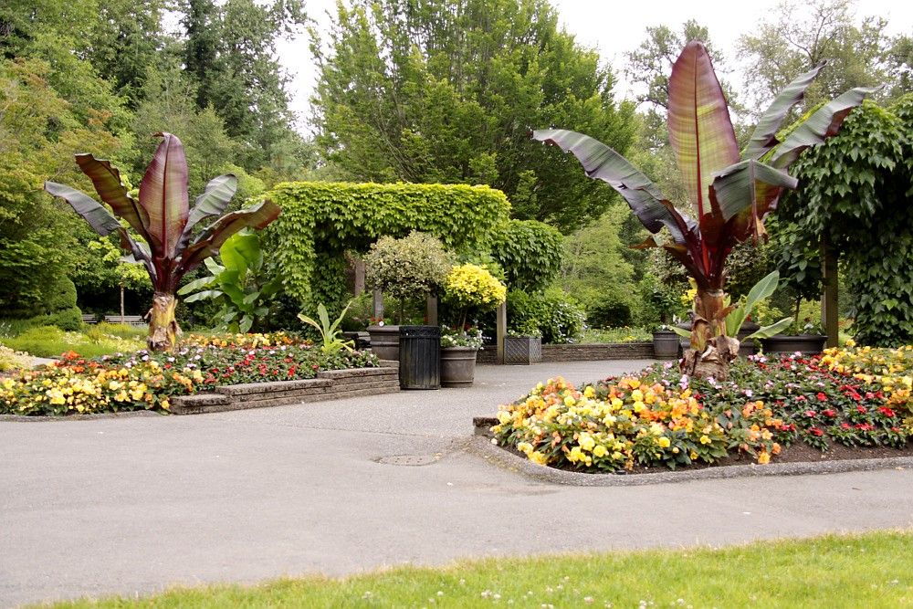 Nestled in the heart of Surrey, Bear Creek Park’s gardens are a hidden gem bursting with vibrant flowers, lush greenery, and winding pathway