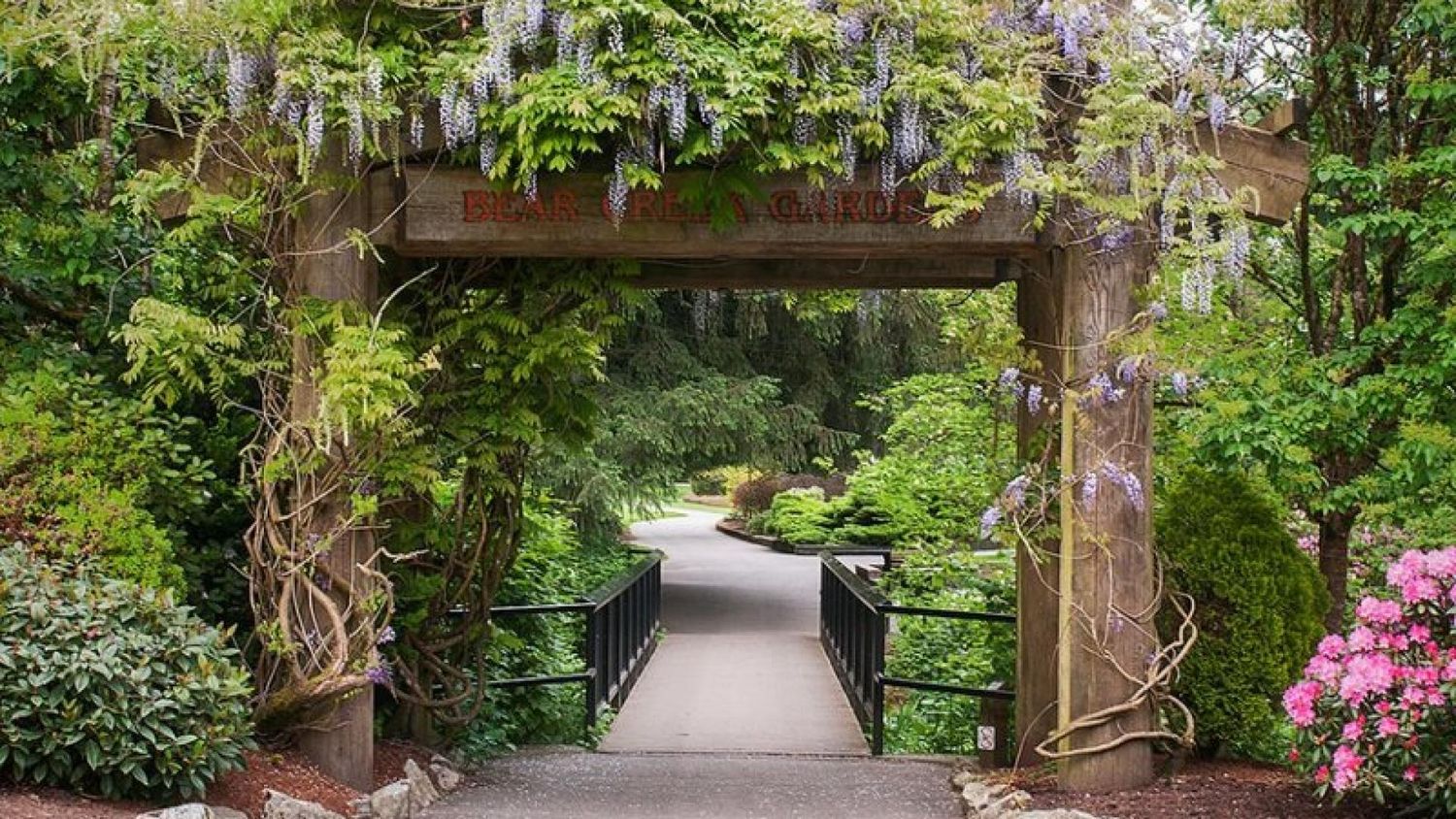 Nestled in the heart of Surrey, Bear Creek Park’s gardens are a hidden gem bursting with vibrant flowers, lush greenery, and winding pathway