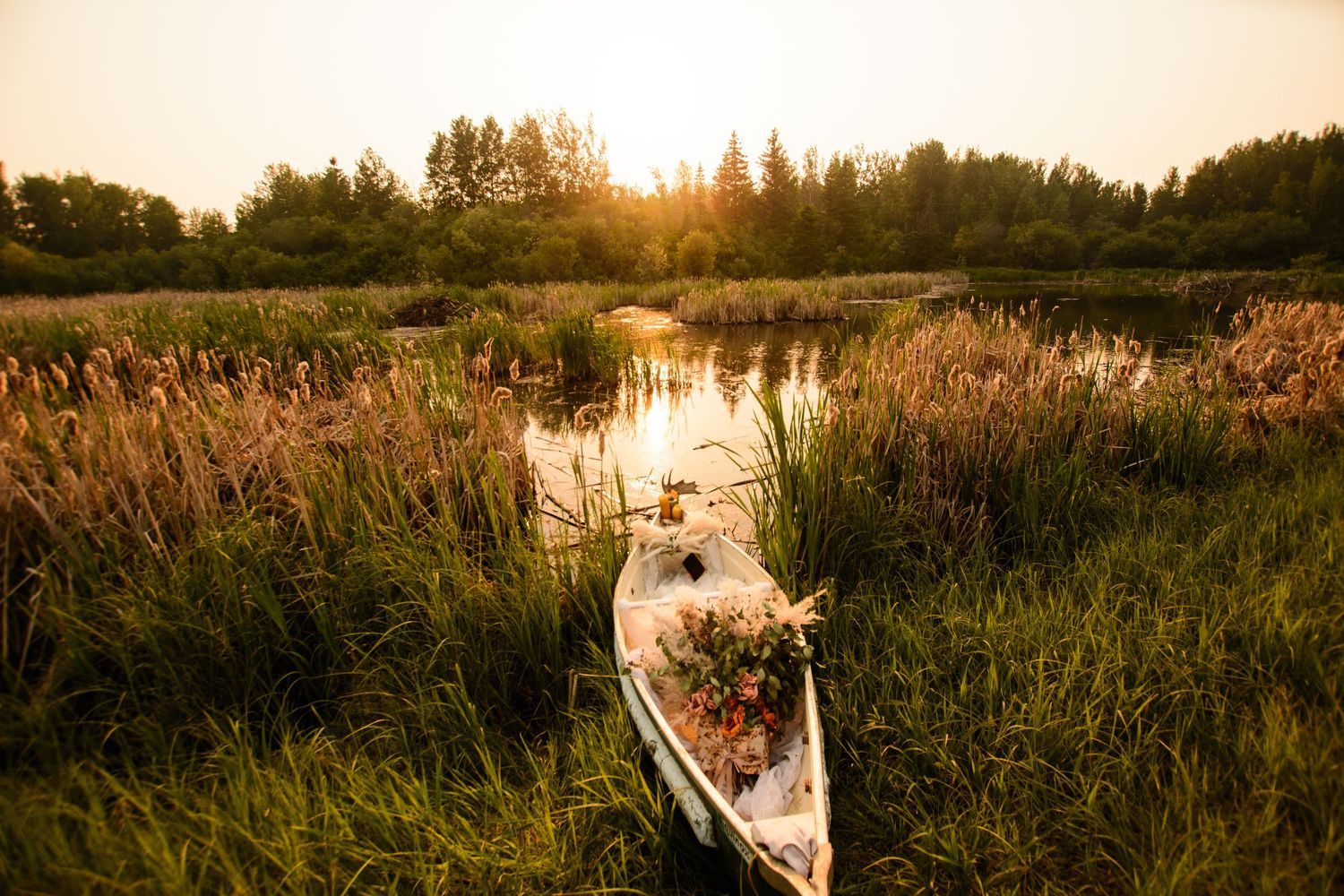 A wooden canoe filled with wildflowers rests in a serene marsh at golden hour as sun sets behind evergreen trees.