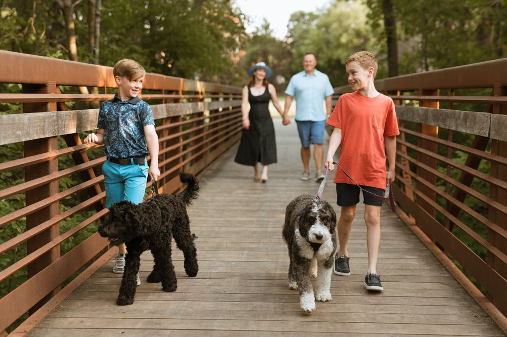 People walking with dogs on a wooden bridge pathway amongst trees on a sunny day.