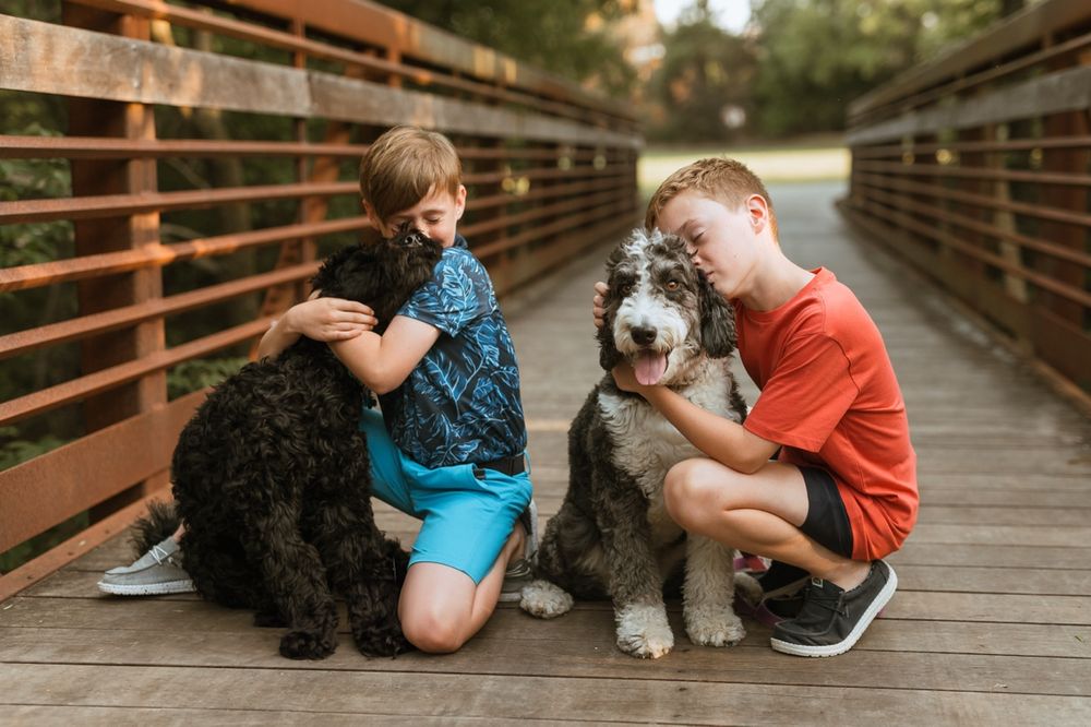 Two people sit with a large shaggy black and white dog on a wooden bridge for a photography session.