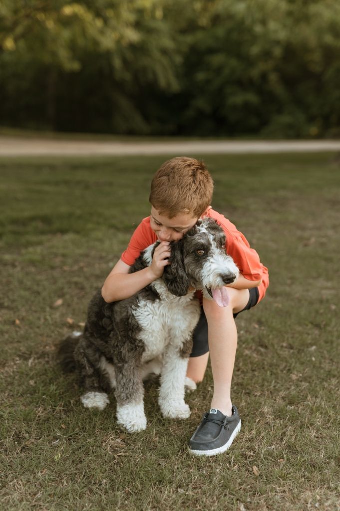 A loving moment between a young person in an orange shirt and their fluffy black and white sheepadoodle dog outdoors.