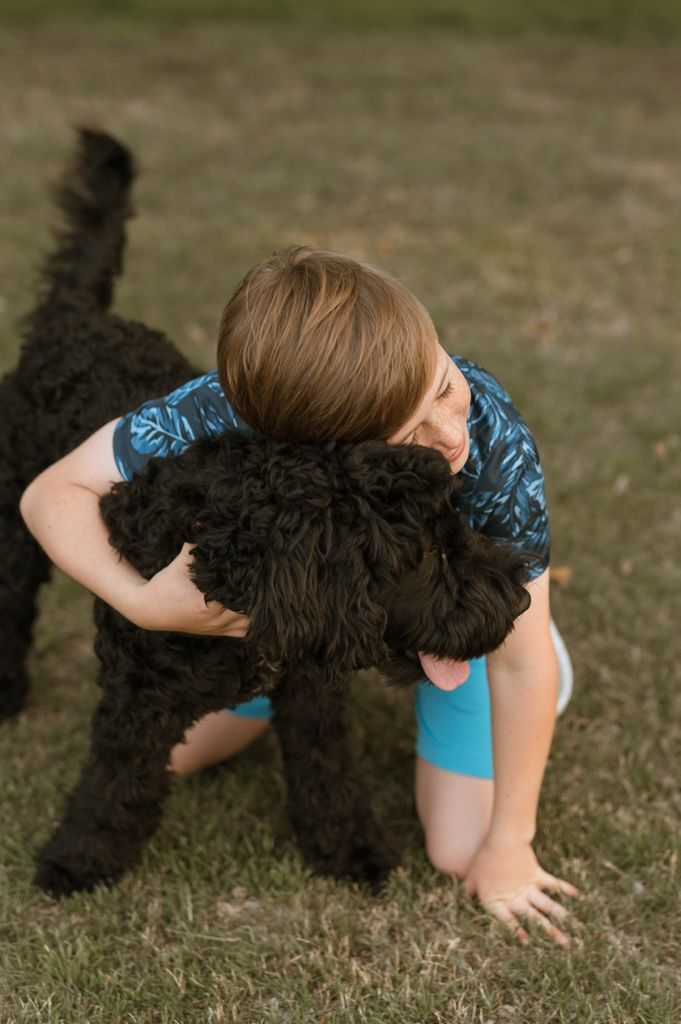 A black furry dog and child in a blue shirt play together energetically in the grass during a fun outdoor moment.