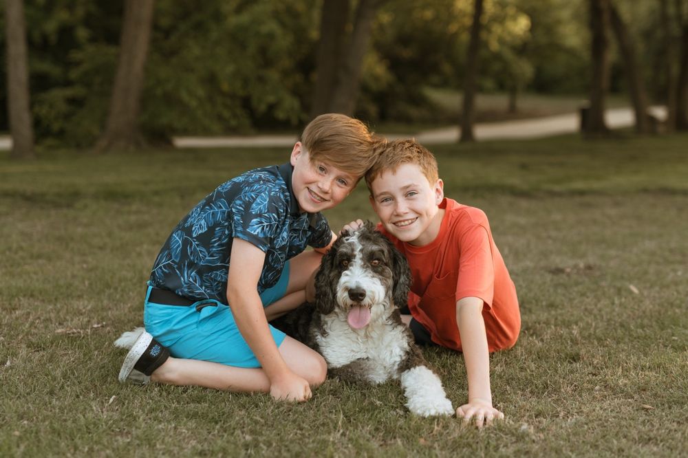 A series of playful outdoor photos showing people interacting with a fluffy white and gray dog in a grassy setting.