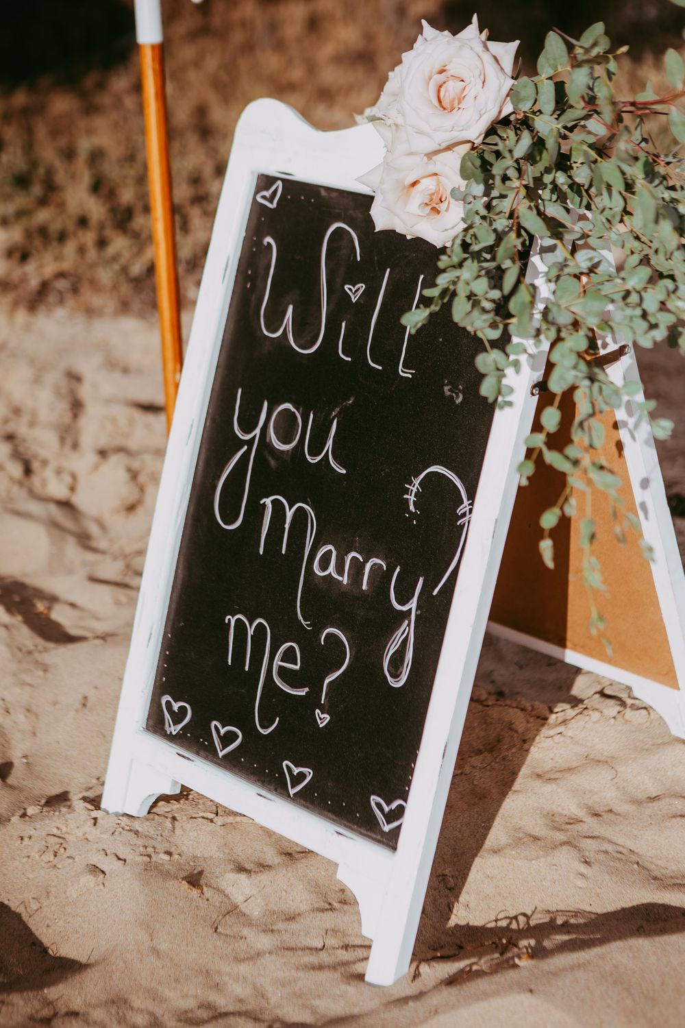 Orange County Wedding Photographer, Orange County Wedding Photography, Laguna Beach Wedding Photos