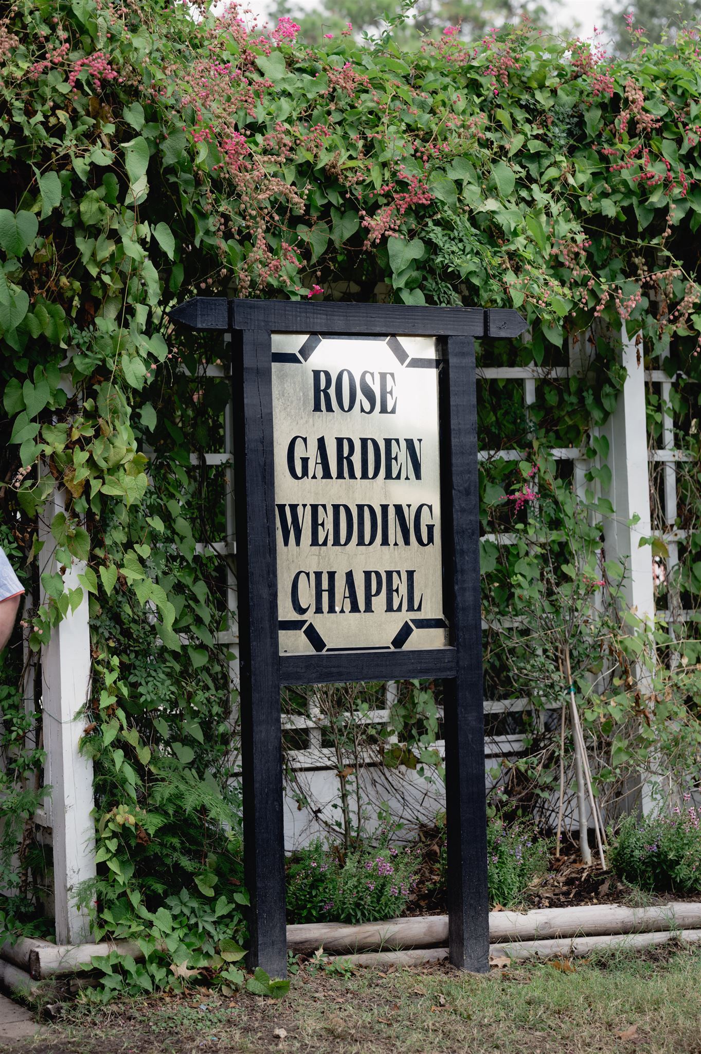 A series of wooden signs with black text reading 'Chapel,' 'Rose Wedding,' and 'Garden' mounted on white posts among green vines.