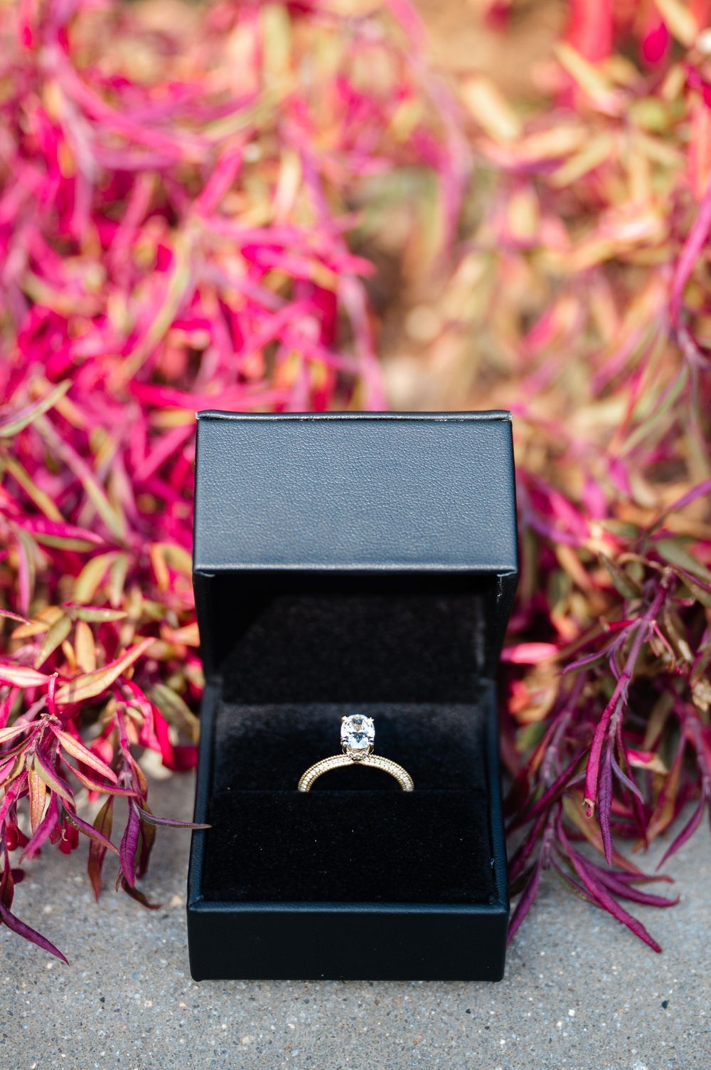 A sparkling diamond engagement ring sits in a black jewelry box against a backdrop of vibrant pink floral blooms.