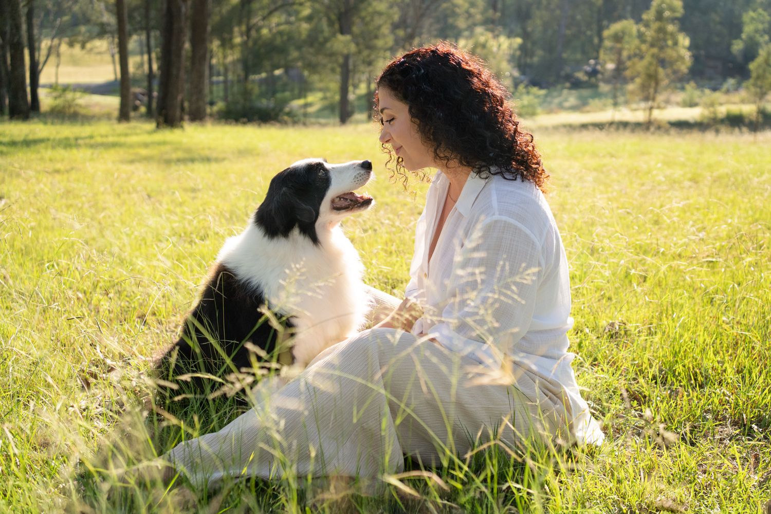 girl looking at her very old 15 years old border collie during a senior canine photoshoot in Cattai Sydney
