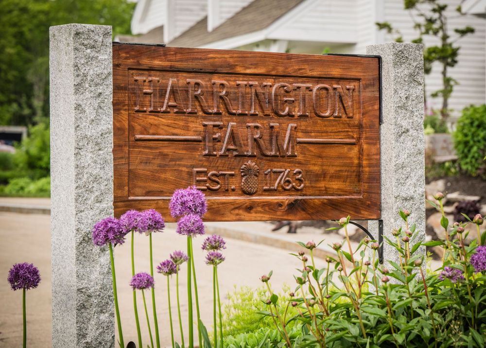 Wooden sign for Harrington Farm with purple allium flowers blooming in the foreground.