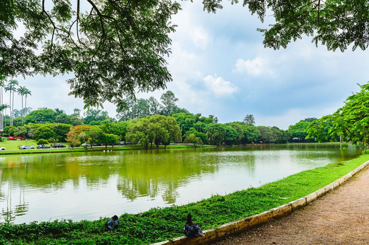 Scenic lake view in a tropical park with green trees, manicured lawn and curved walking path under blue sky.