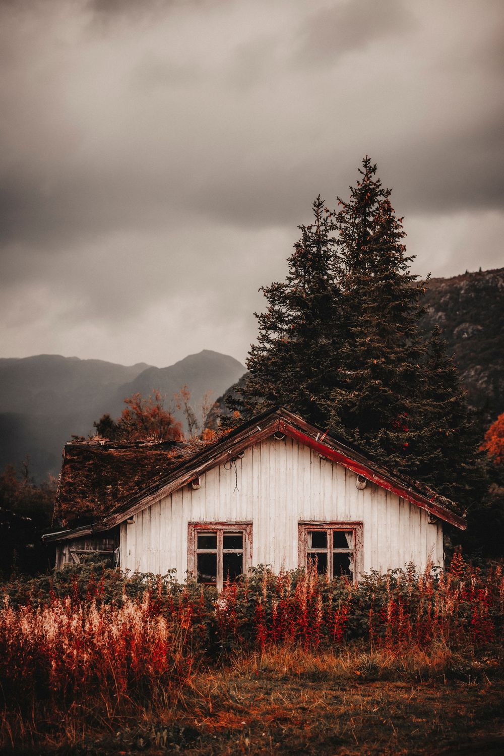 A rustic white cabin with red trim sits among tall evergreens and autumn foliage against misty mountain backdrop.