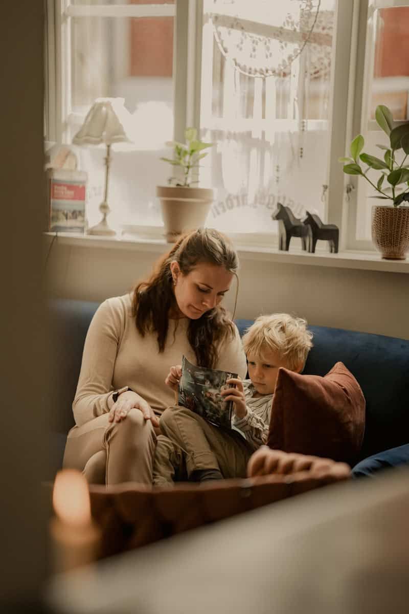 Cozy window seat scene with houseplants and decorative elements creating warm atmosphere.