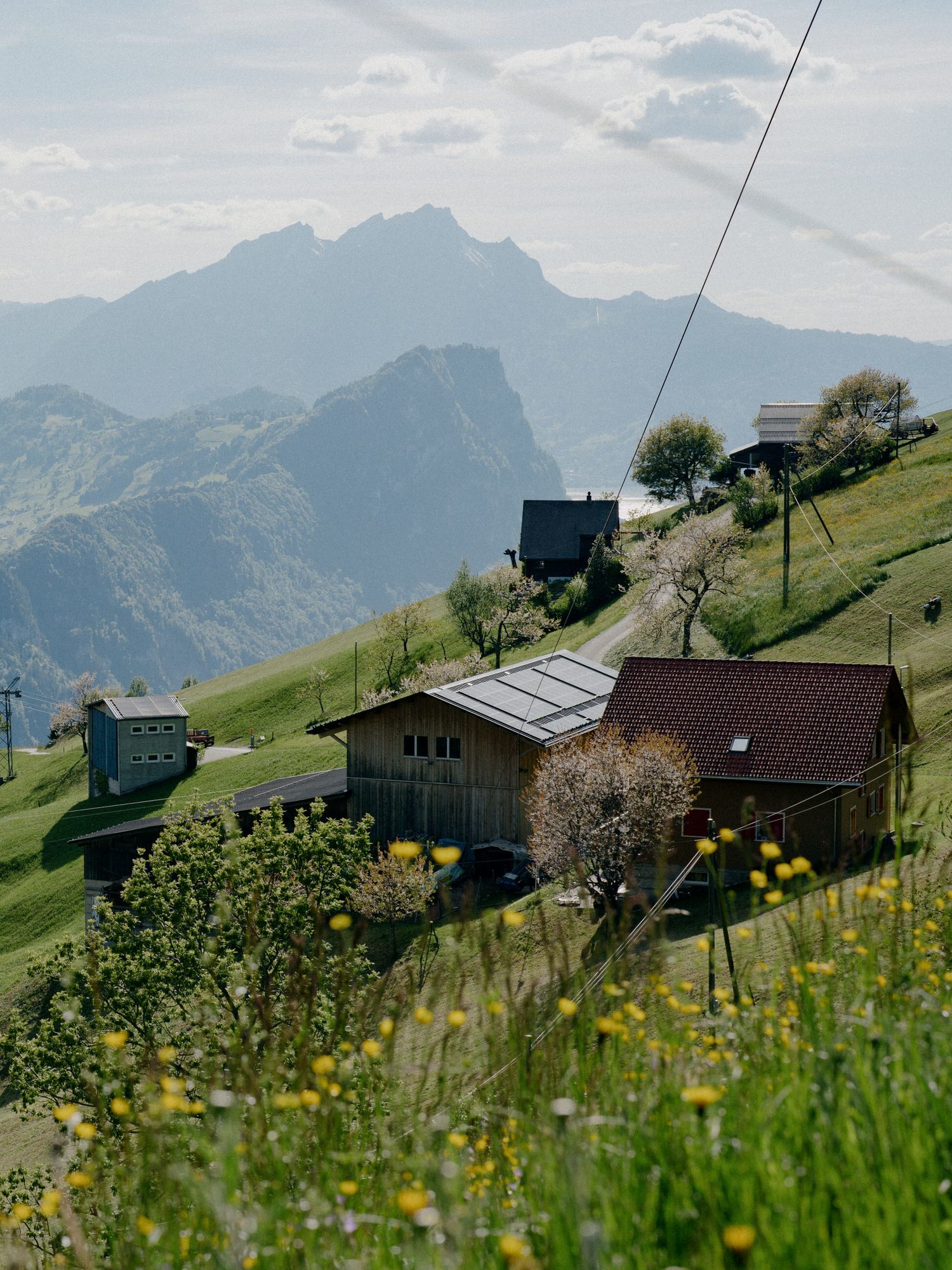 Alpine chalet nestled on a grassy hillside with yellow wildflowers and dramatic mountain peaks in the background.
