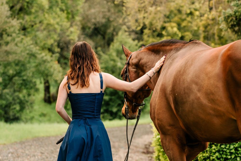 Person in navy blue dress gently pets a brown horse in a lush outdoor setting.