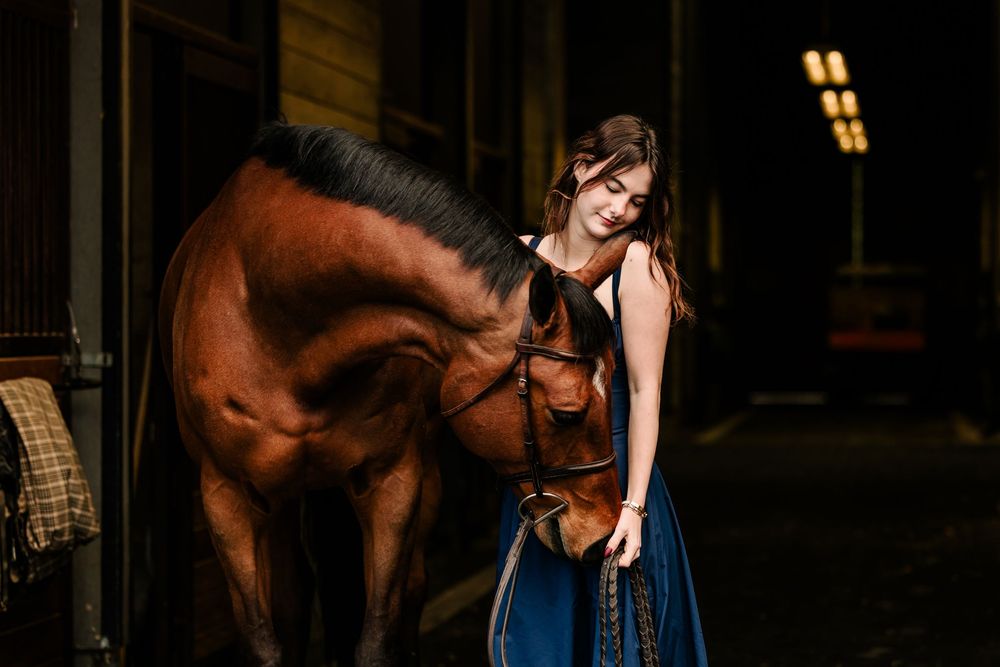 A person in a blue dress lovingly pats a bay horse in a dark stable with warm lighting.