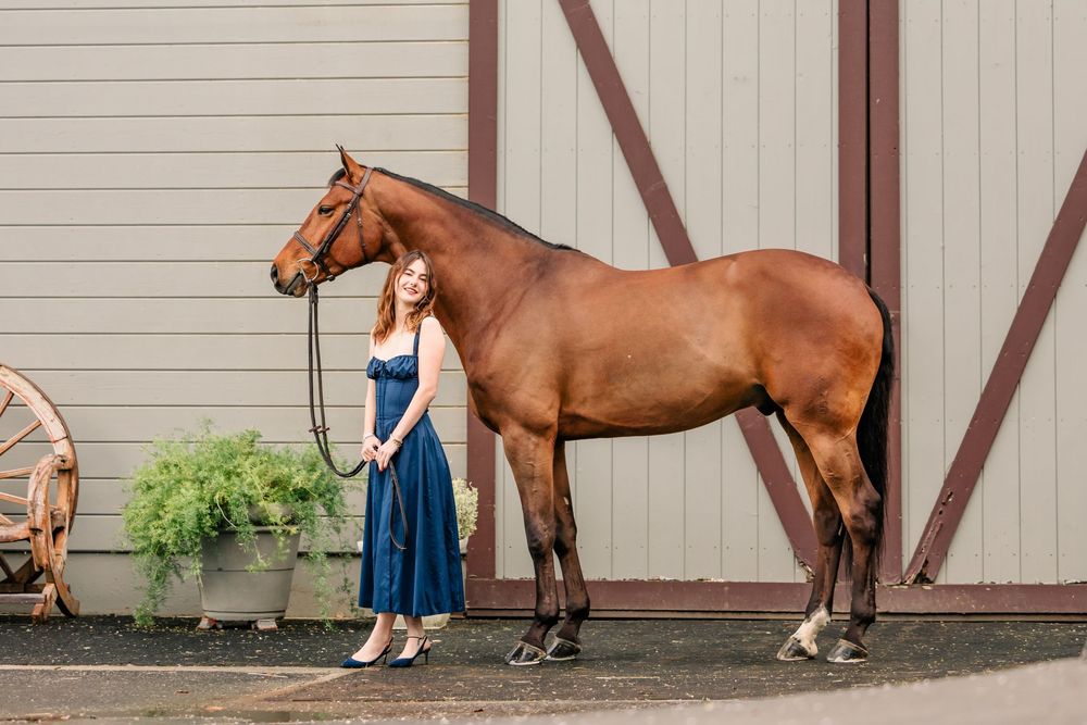 A graceful bay horse stands beside someone in a blue dress outside a barn with grey siding and wooden beams.