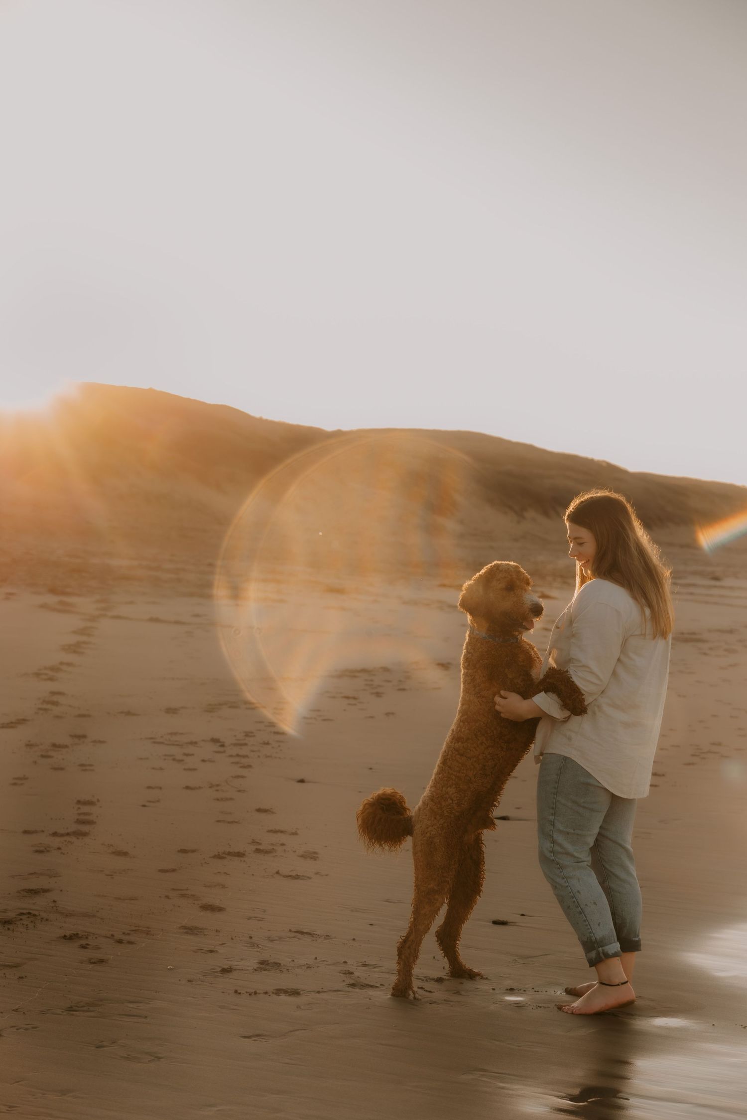 A large brown dog stands on hind legs to dance with someone on a misty beach at sunset.