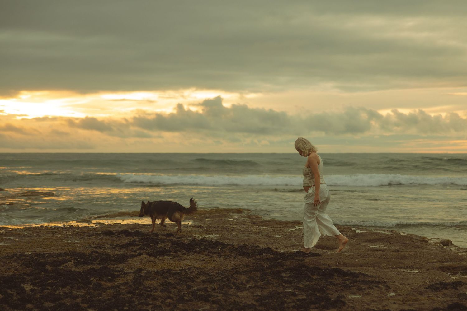 A silhouette walks along a beach at sunset with a dog, while moody clouds and ocean waves create a dramatic scene.