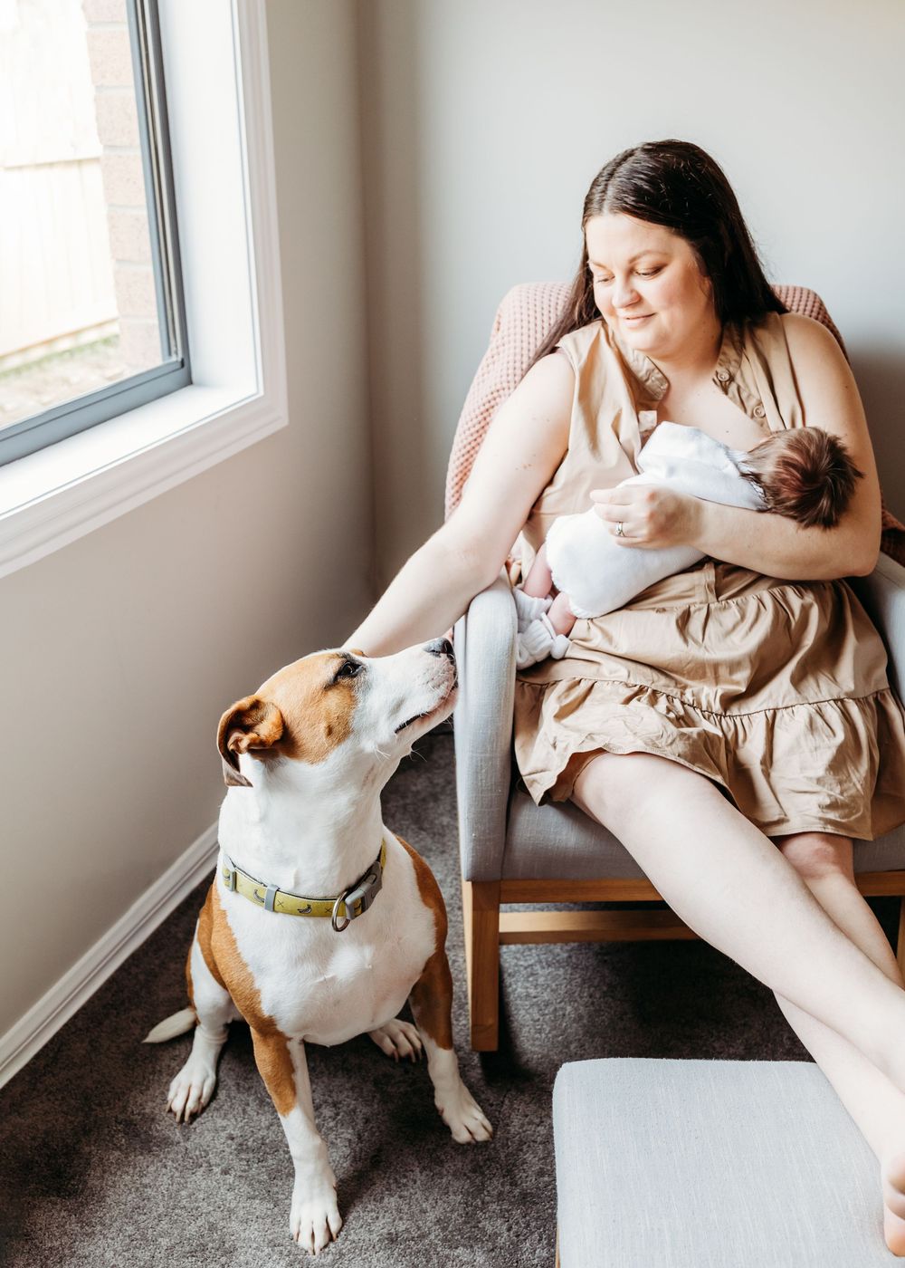 in home newborn photography werribee
