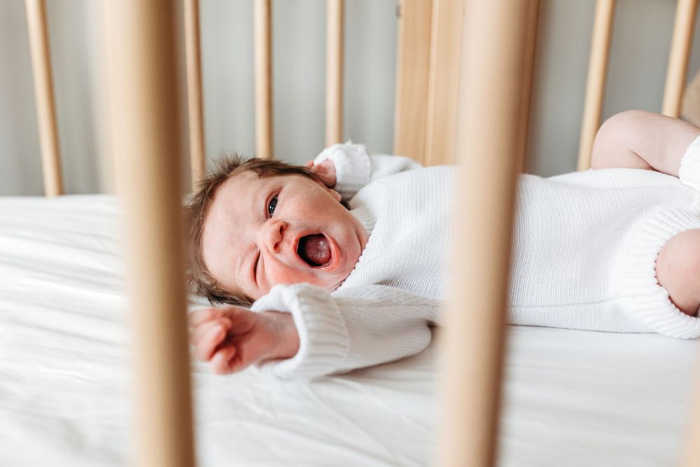 in home newborn photography werribee