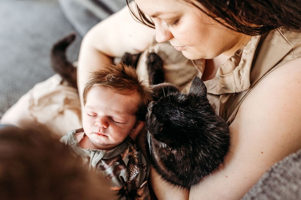 in home newborn photography werribee