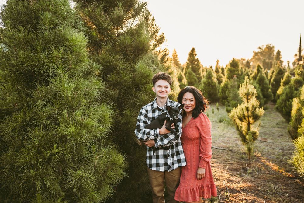 A couple poses together outdoors among evergreen trees at golden hour in a Christmas tree farm.