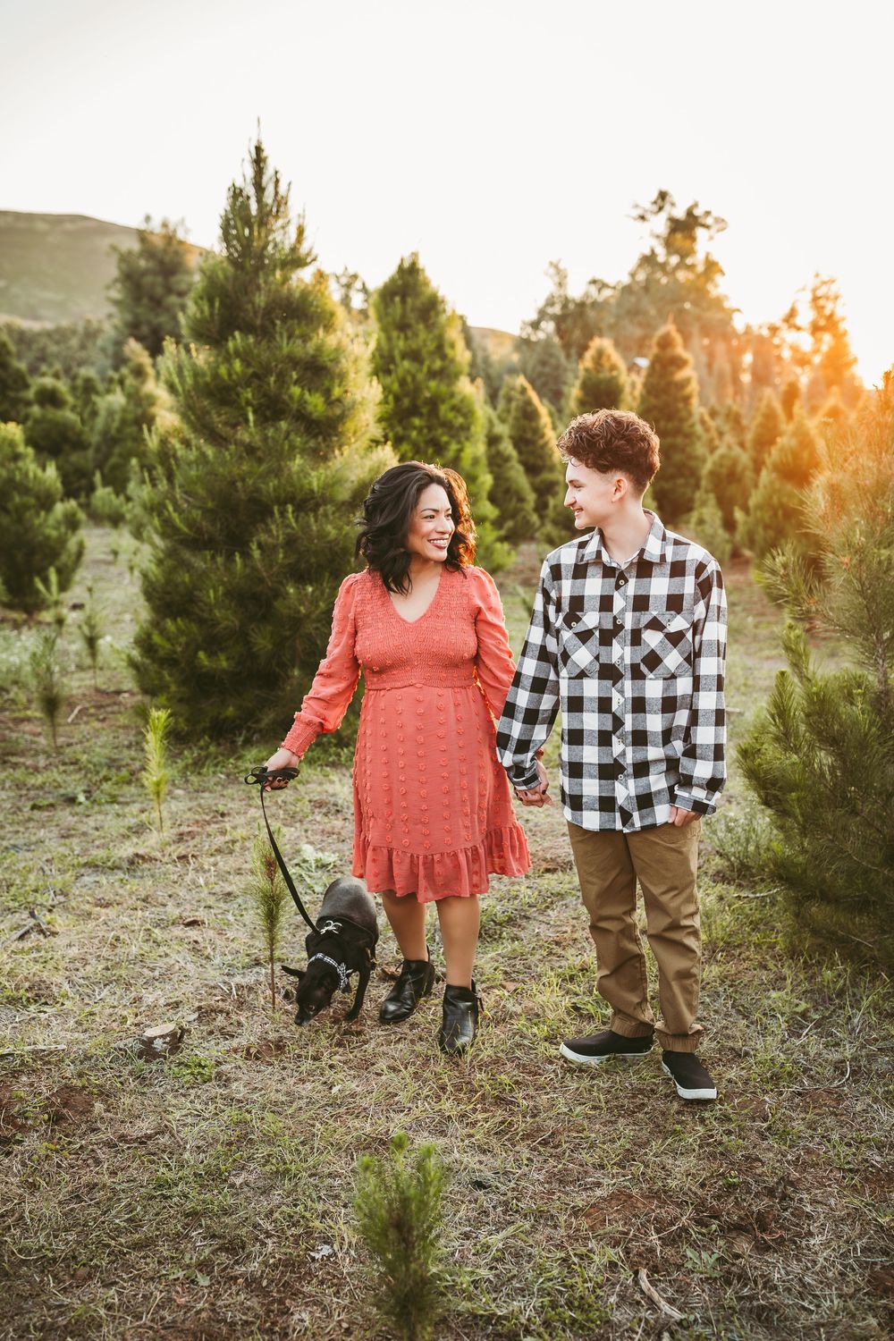 A couple walking through an evergreen tree farm at sunset with their small dog.