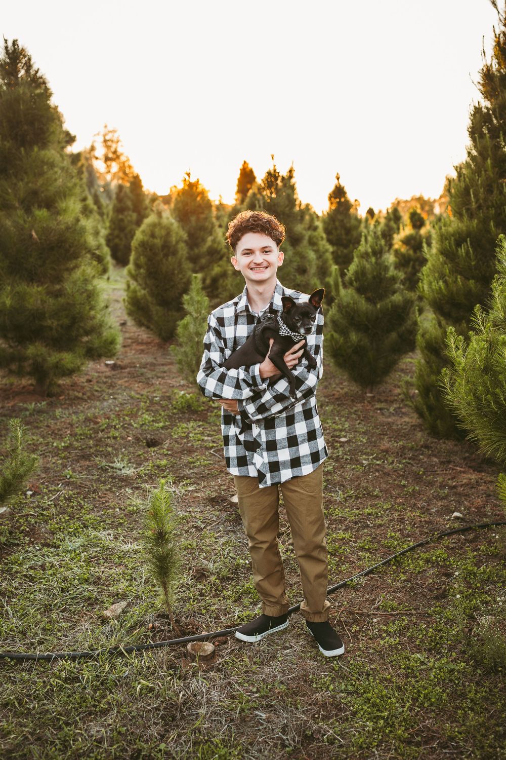 A young person in a plaid shirt poses playfully in rows of evergreen trees at sunset.