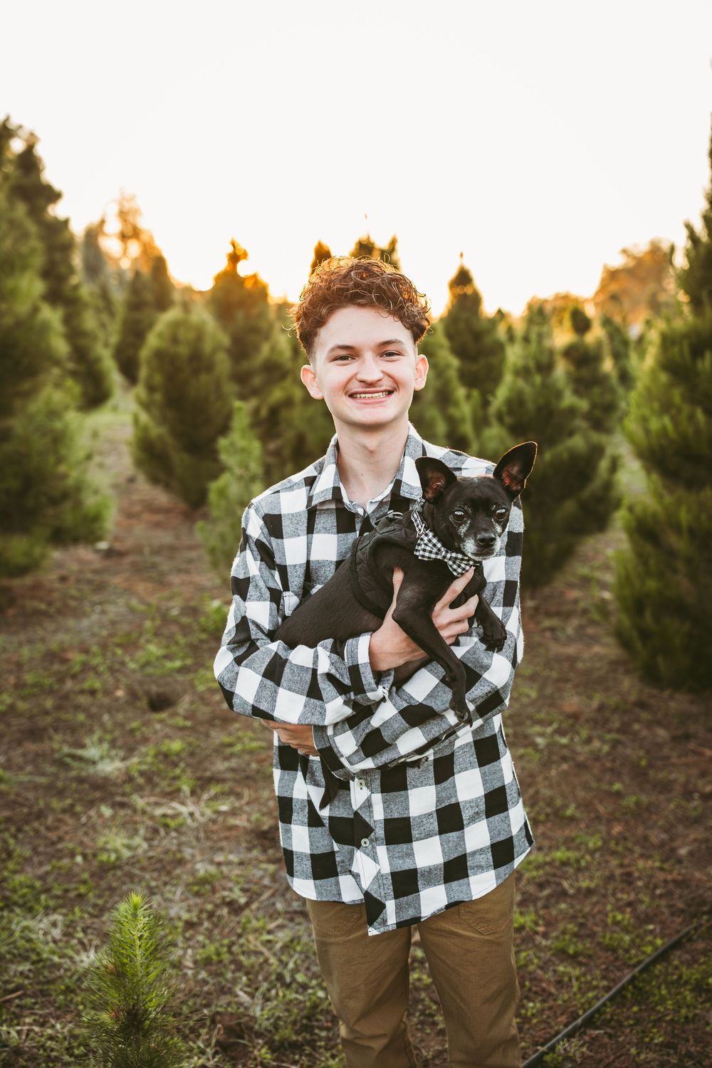 Child poses in buffalo plaid flannel and brown pants at sunset in Christmas tree farm setting.