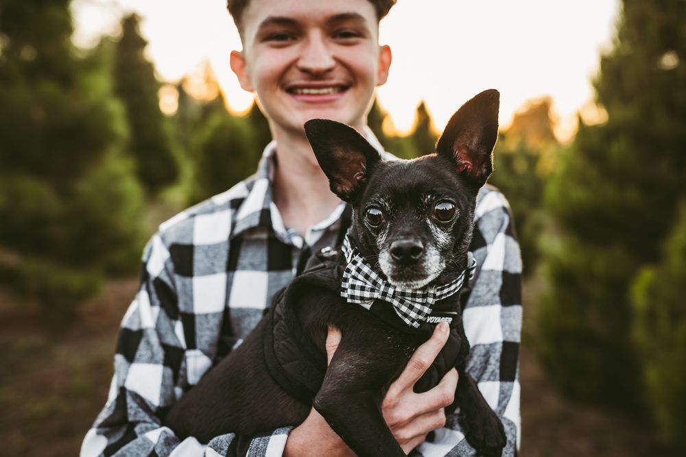 A person in a plaid shirt holds and snuggles with a small black and white dog.